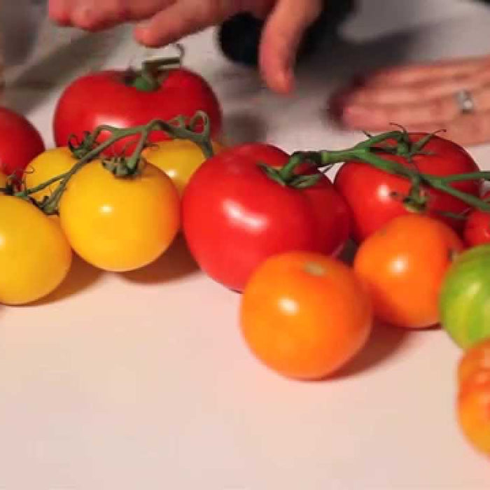 Herbalife – I pomodori